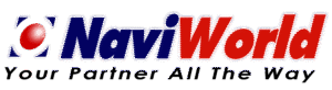 Avada SEO